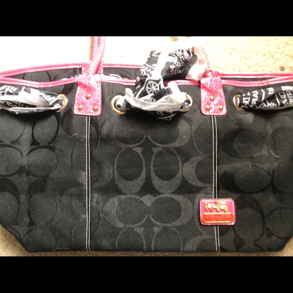 Coach scarf bag